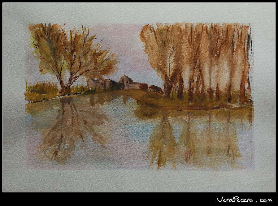Reflejos